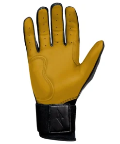 Bruce Bolt PREMIUM PRO Long Cuff Batting Gloves: Black -wp populaire magasin LC BLKG PALM