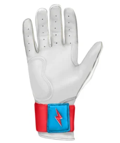 Bruce Bolt PREMIUM PRO BRINSON Series Long Cuff Batting Gloves: White 9 Bruce Bolt PREMIUM PRO BRINSON Series Long Cuff Batting Gloves: White -wp populaire magasin LC LBW PALM