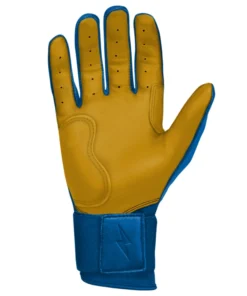 Bruce Bolt PREMIUM PRO Long Cuff Batting Gloves: Royal -wp populaire magasin LC ROYG PALM