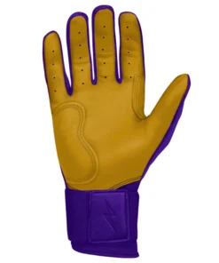 Bruce Bolt PREMIUM PRO Long Cuff Batting Gloves: Purple -wp populaire magasin premium pro long cuff batting gloves purple brucebolt 661404
