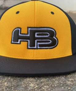 HB Sports Exclusive Pacific ES342 Performance Flexfit Hat: CANES